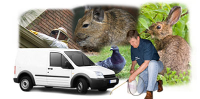 Long Eaton local van